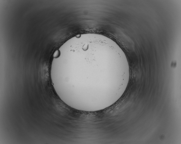 X0000103941106200809261719