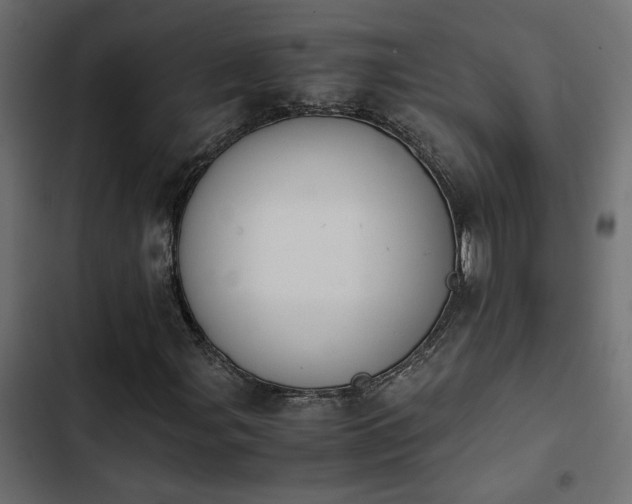 X0000103941107200809261719