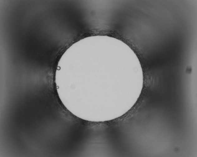 X0000103941108200809261719