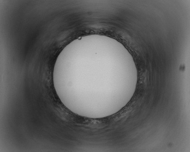X0000103941109200809261719