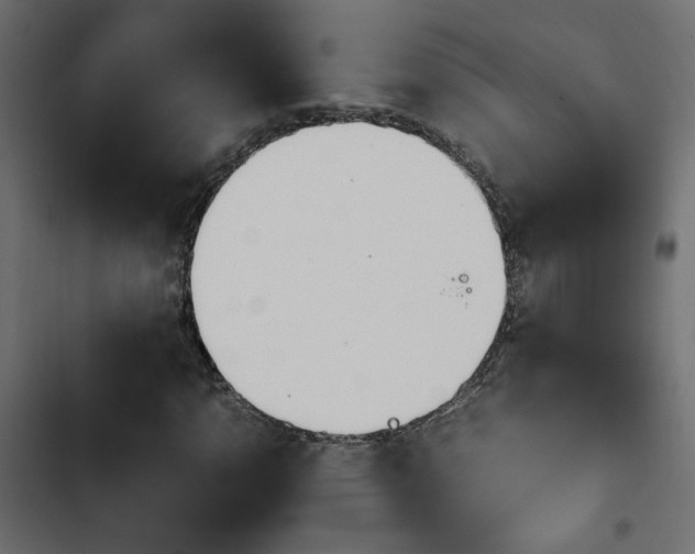 X0000103941110200809261719