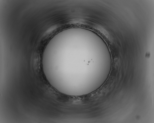 X0000103941111200809261719