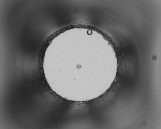 X0000103941112200809261719