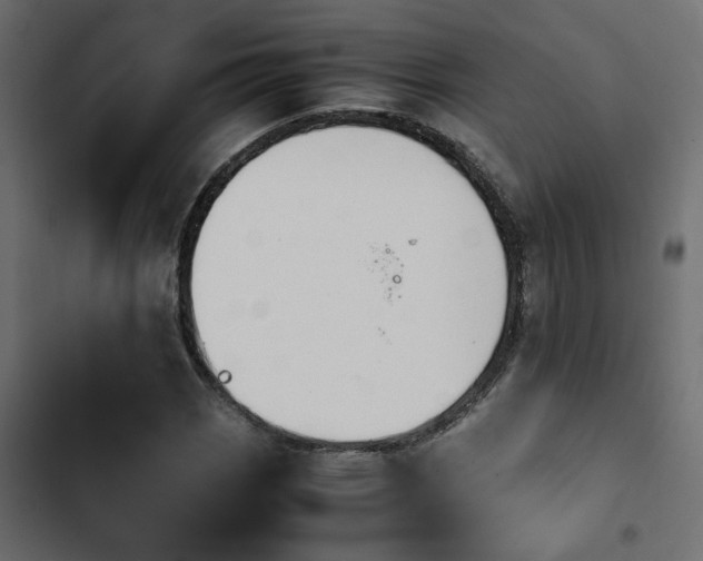 X0000103941113200809261719