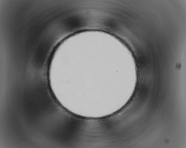 X0000103941114200809261719