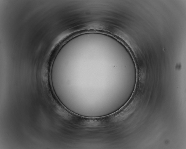 X0000103941115200809261719