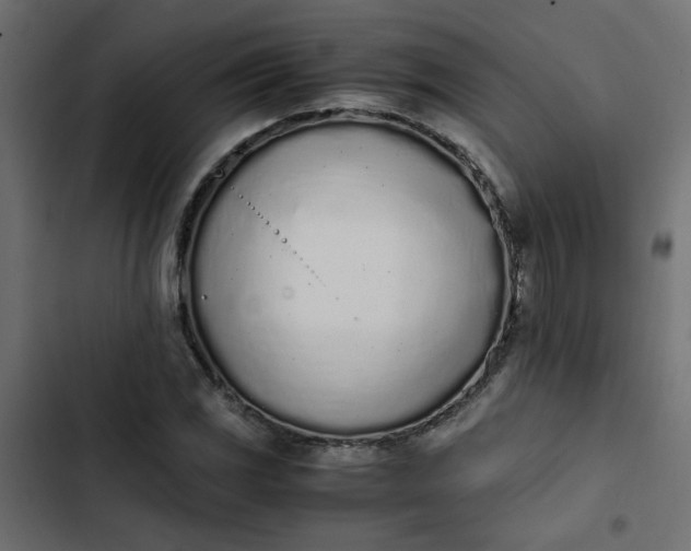 X0000103941117200809261719