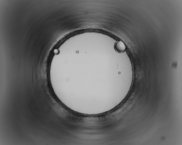 X0000103941118200809261719