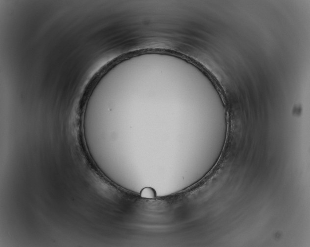 X0000103941119200809261719