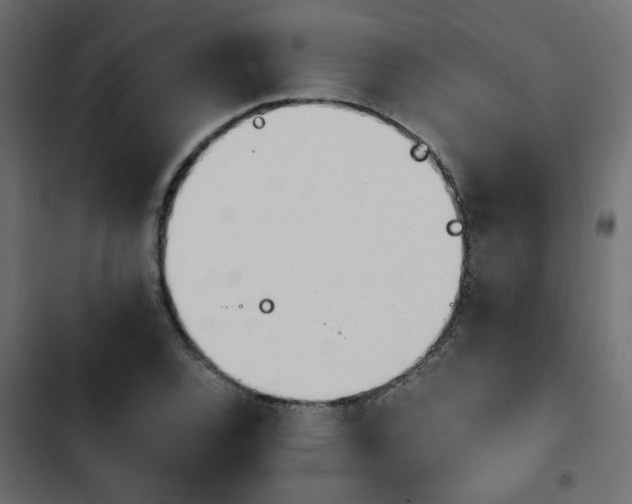 X0000103941120200809261719