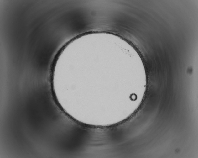 X0000103941122200809261719