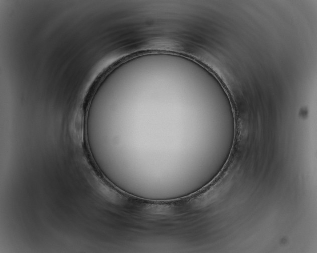 X0000103941123200809261719