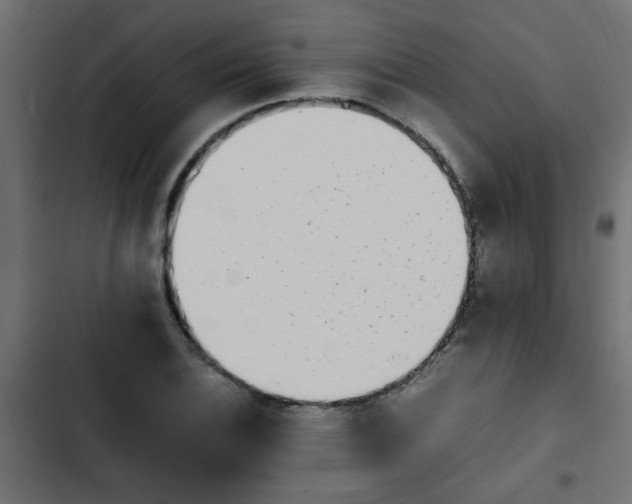 X0000103941124200809261719