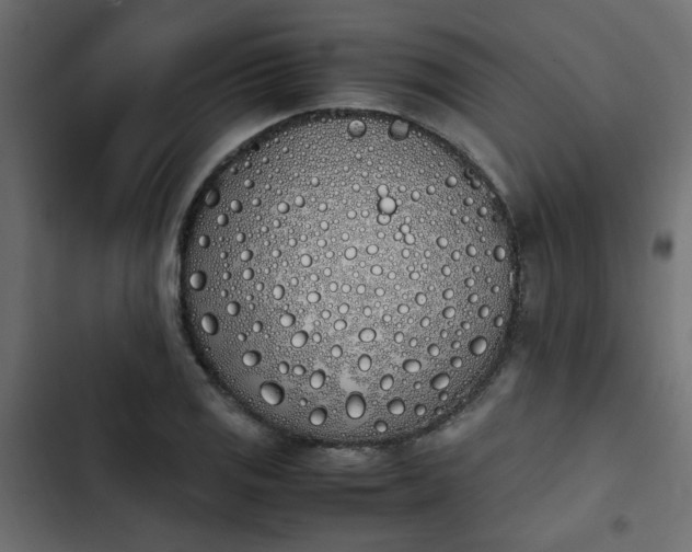 X0000103941125200809261720