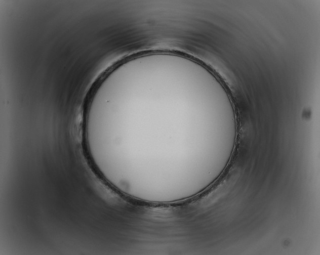 X0000103941126200809261720