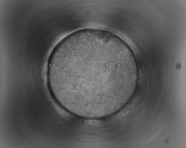 X0000103941128200809261720