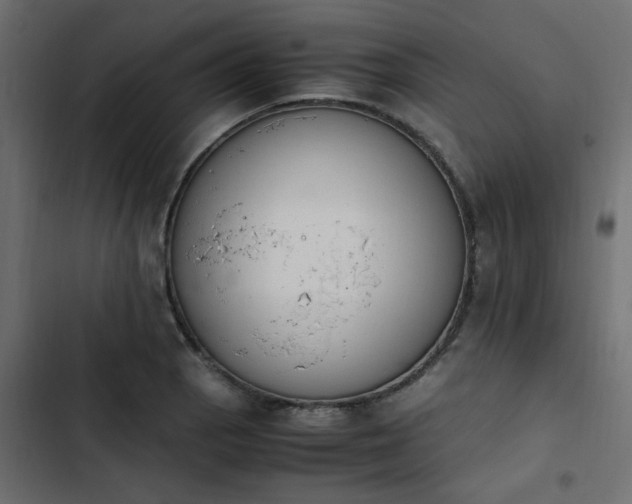 X0000103941129200809261720
