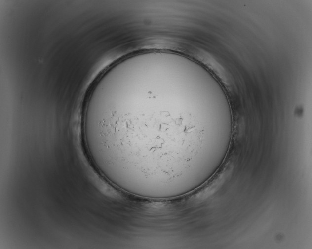 X0000103941130200809261720