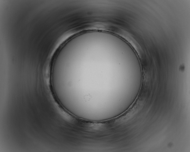X0000103941131200809261720