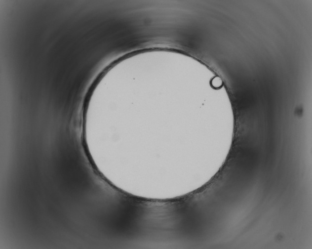 X0000103941132200809261720