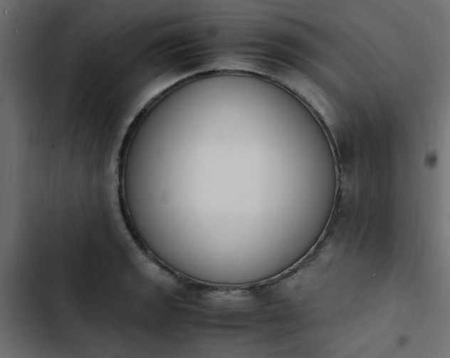 X0000103941133200809261720