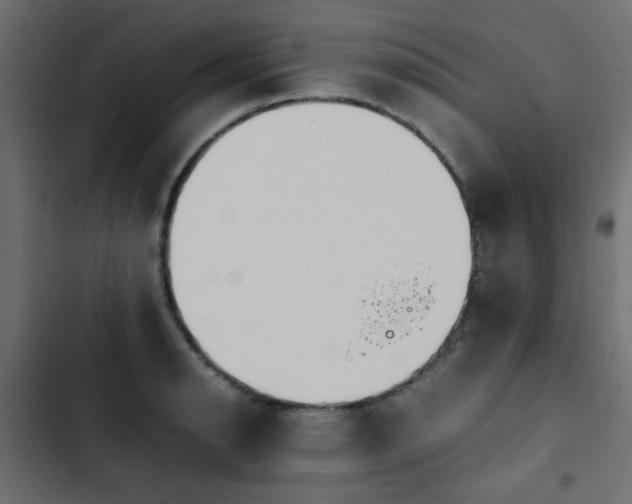 X0000103941134200809261720