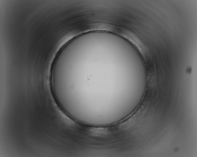 X0000103941135200809261720