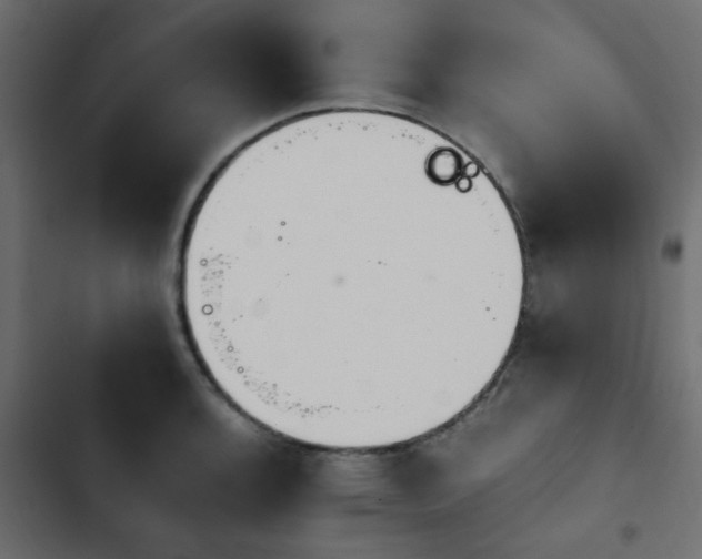 X0000103941136200809261720