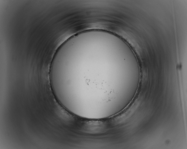 X0000103941137200809261720