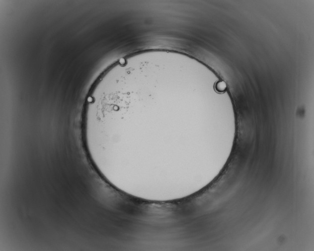 X0000103941138200809261720
