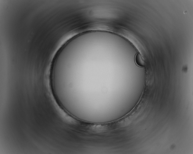 X0000103941139200809261720