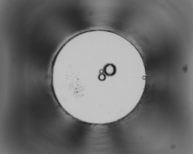 X0000103941140200809261720