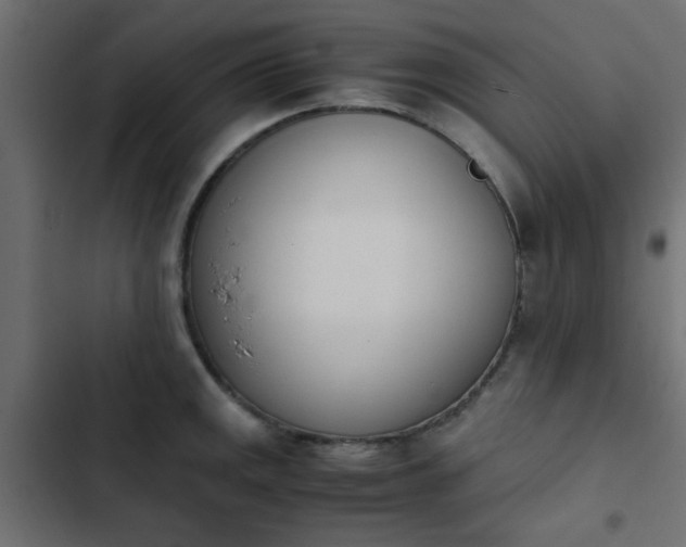 X0000103941141200809261720