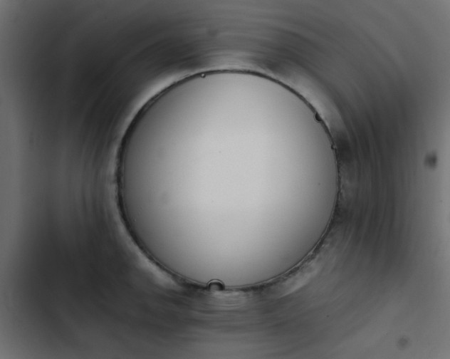 X0000103941142200809261720
