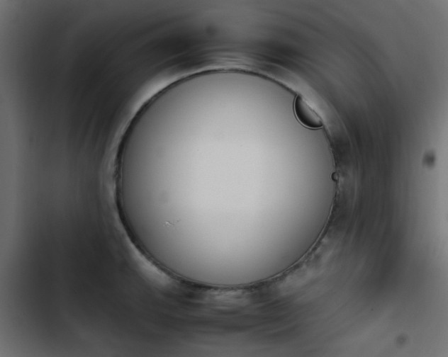 X0000103941143200809261720