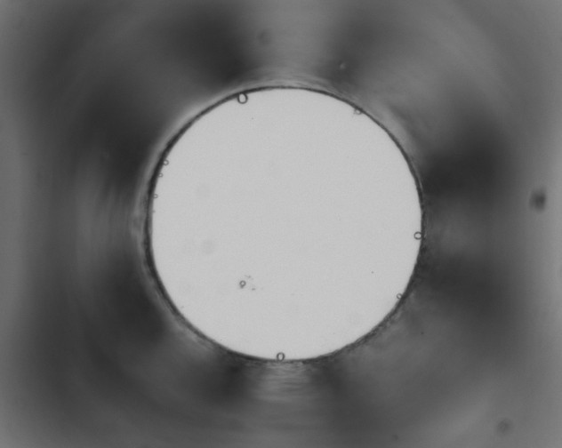 X0000103941144200809261720