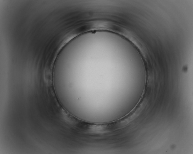 X0000103941145200809261720