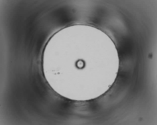 X0000103941146200809261720