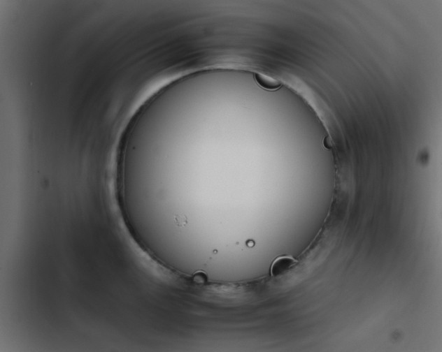 X0000103941147200809261720