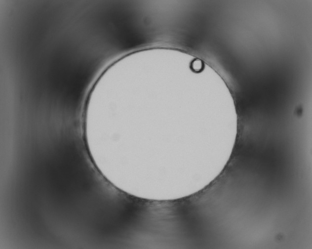 X0000103941148200809261720