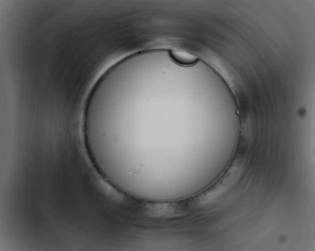 X0000103941149200809261720