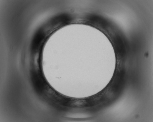 X0000103941150200809261720