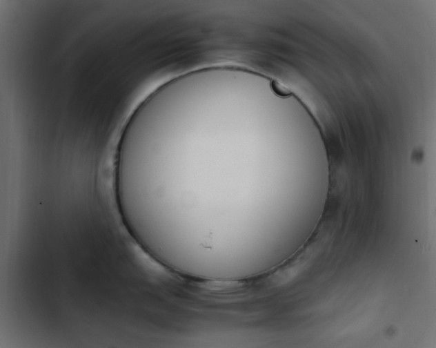 X0000103941151200809261720