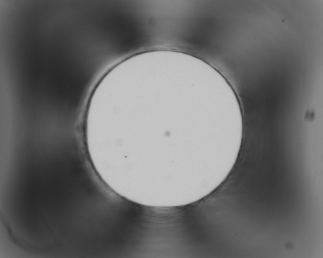 X0000103941152200809261720