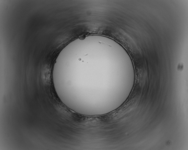 X0000103941154200809261719