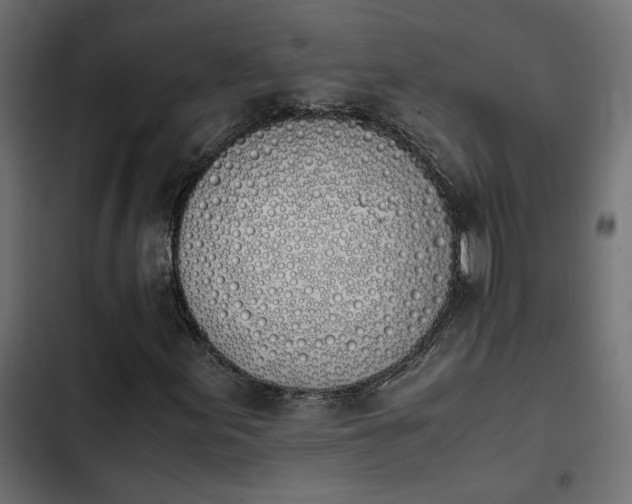 X0000103941155200809261719