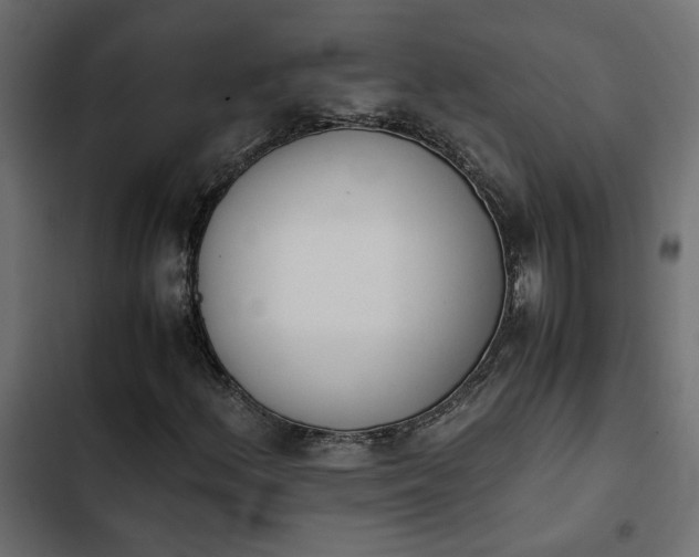 X0000103941156200809261719