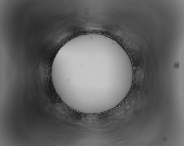 X0000103941157200809261719
