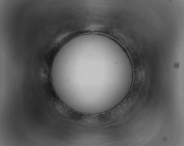 X0000103941158200809261719