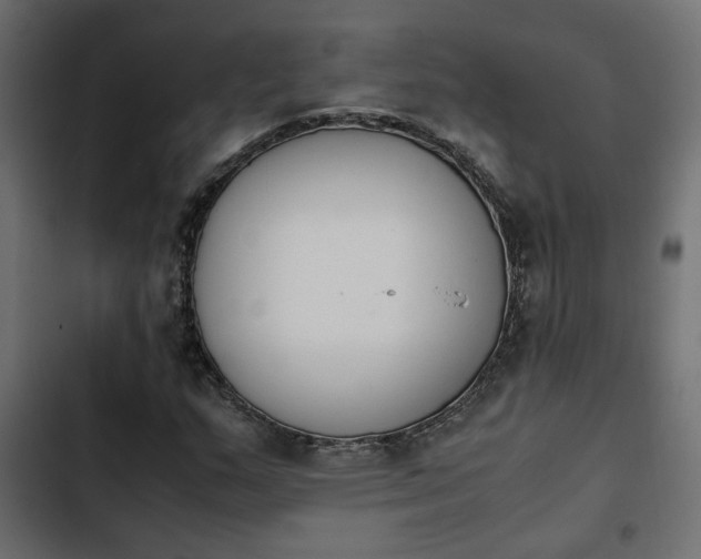X0000103941159200809261719